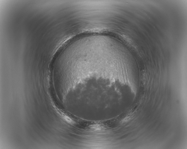 X0000054350544200508190131.png