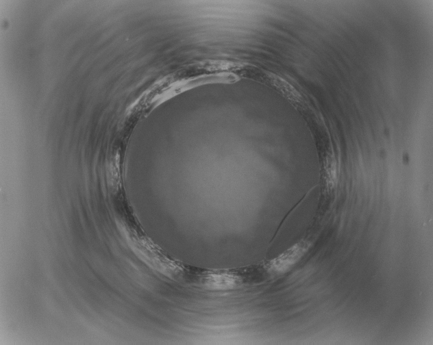 X0000054170376200508101806.png