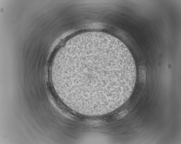 X0000054580726200508300100.png
