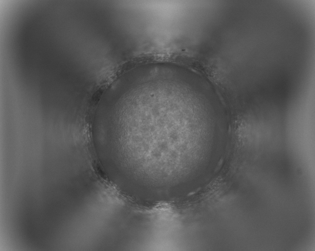 X0000052150283200507051959.png