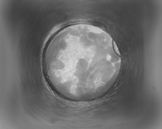 X0000055250006200509071627.png
