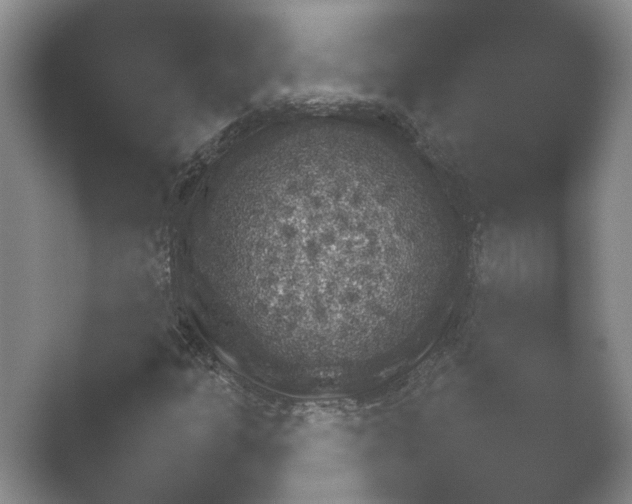 X0000052151301200507051941.png