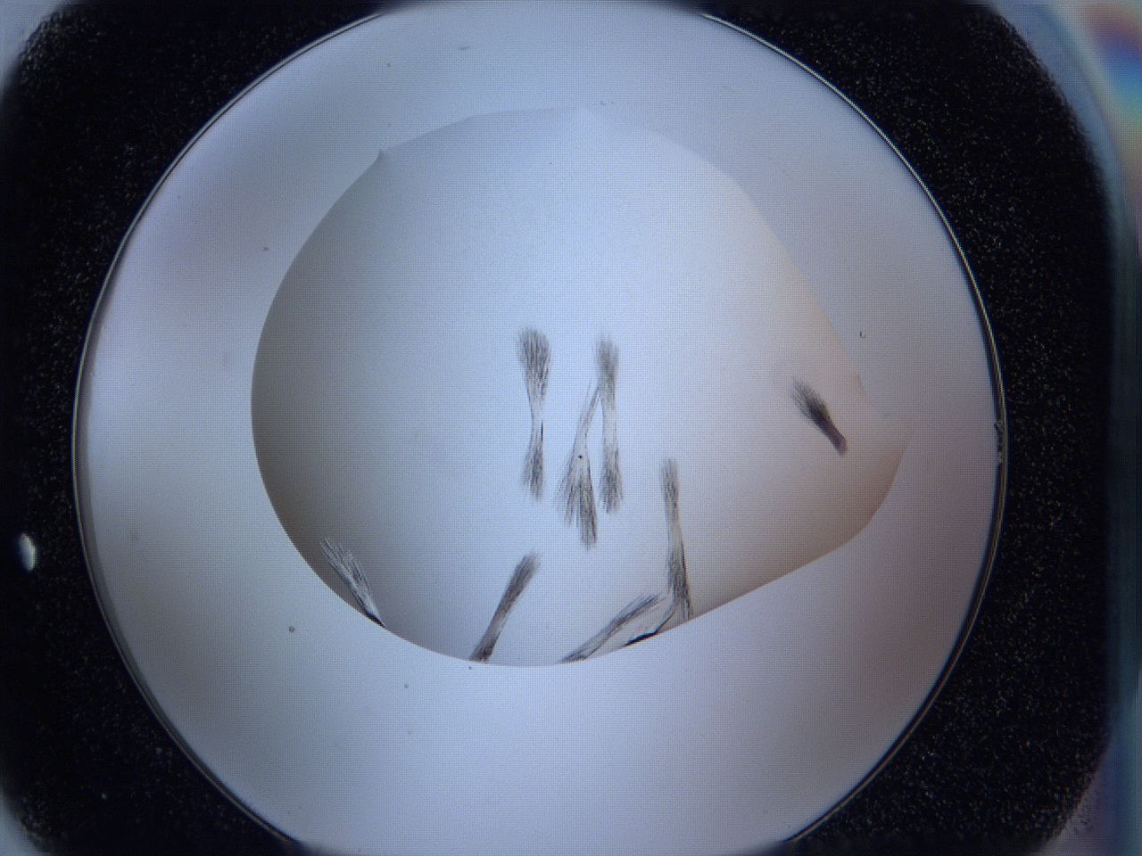 05f4_H7_ImagerDefaults_7.jpg