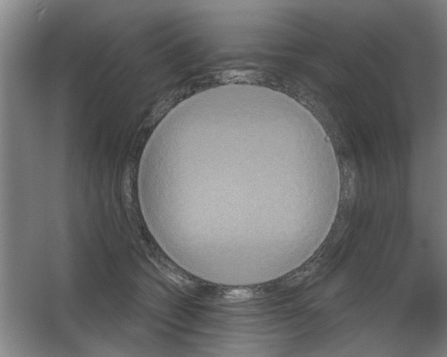 X0000053460562200508112200.png