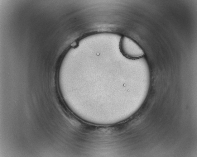 X0000053460299200508112204.png