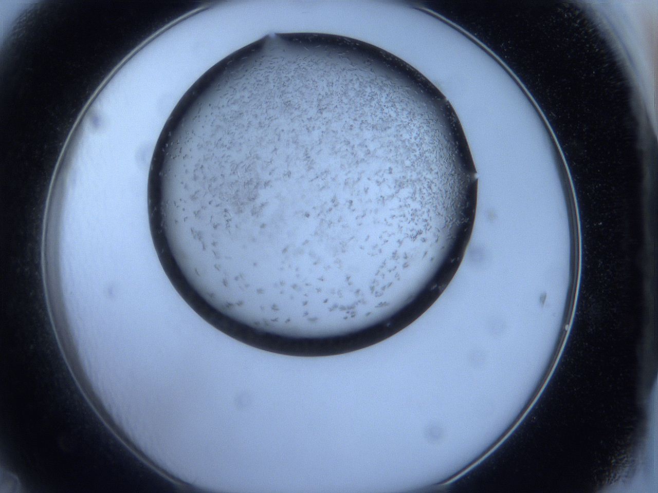 05f4_D11_ImagerDefaults_6.jpg