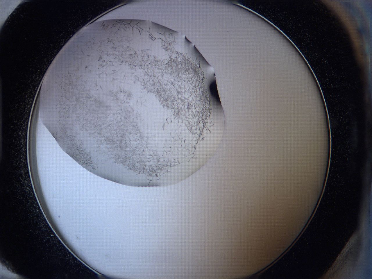 05f4_H12_ImagerDefaults_7.jpg