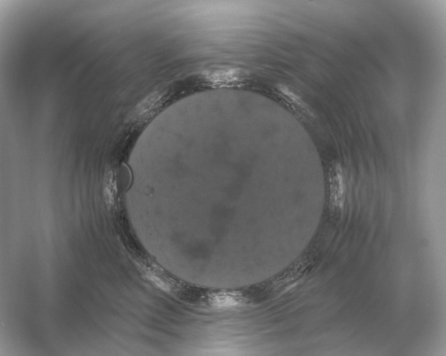 X0000054350618200508190130.png