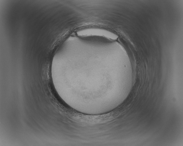 X0000055250023200509071627.png