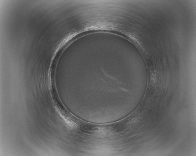 X0000055060678200508161646.png
