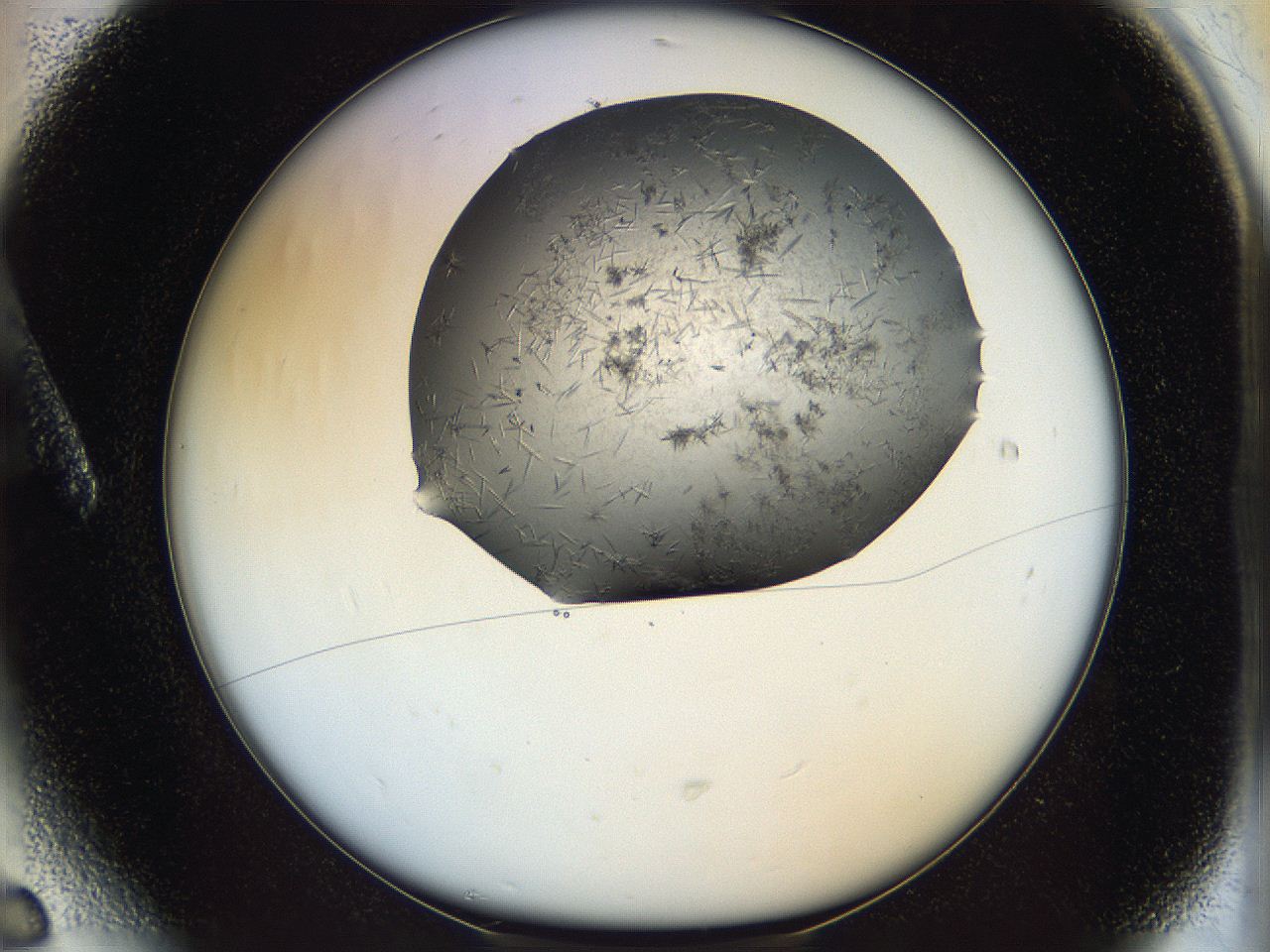 05ff_A6_ImagerDefaults_7.jpg