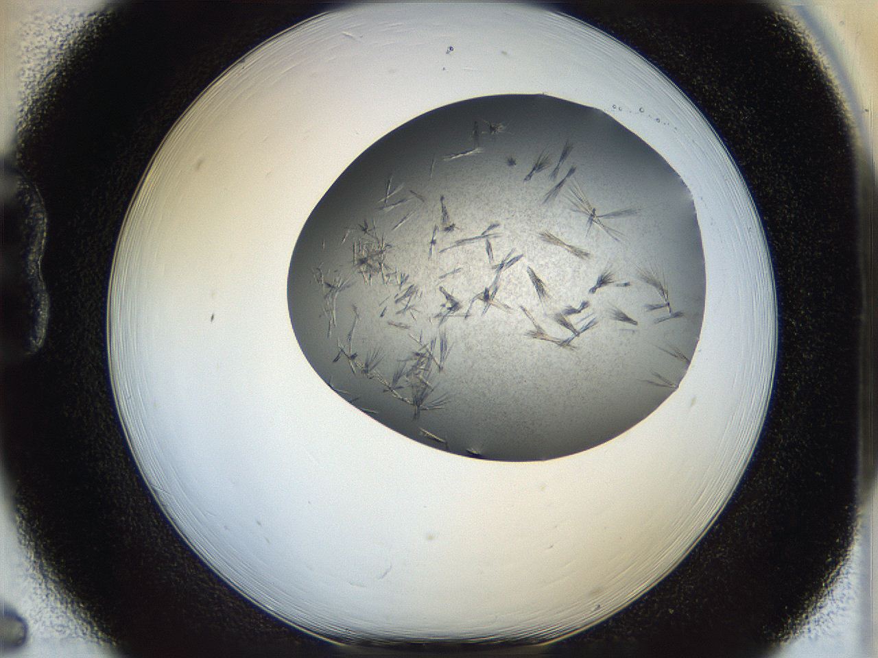 05ff_B6_ImagerDefaults_7.jpg