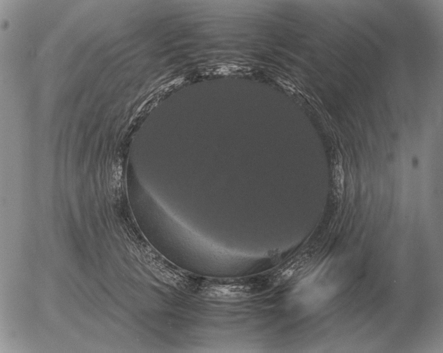 X0000054170657200508101801.png