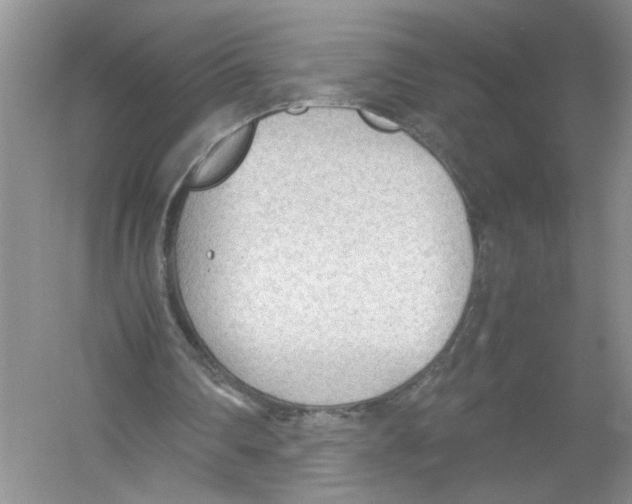 X0000054270290200508261923.png