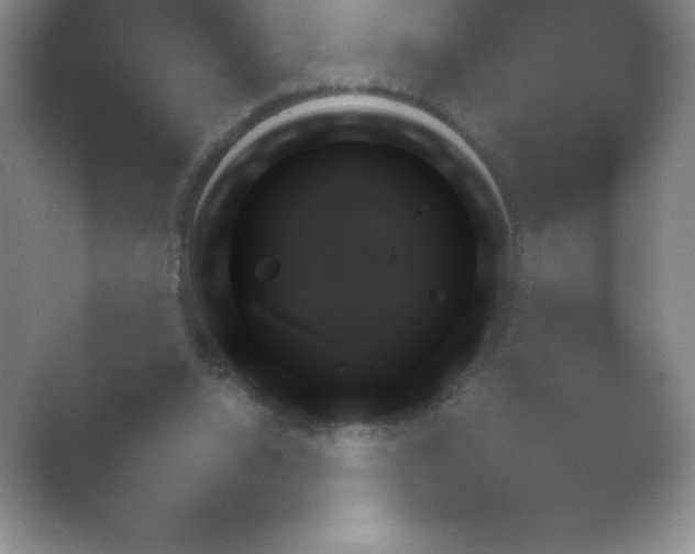 X0000054730064200508171902.png