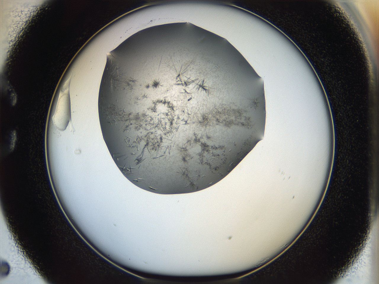 05ff_C5_ImagerDefaults_7.jpg
