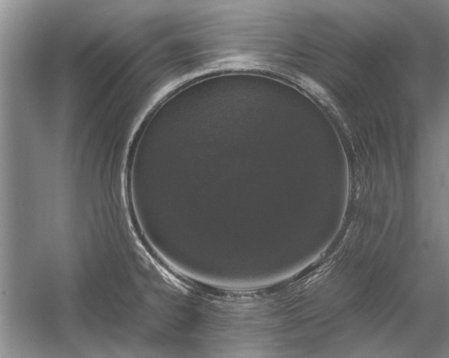 X0000055061334200508161635.png