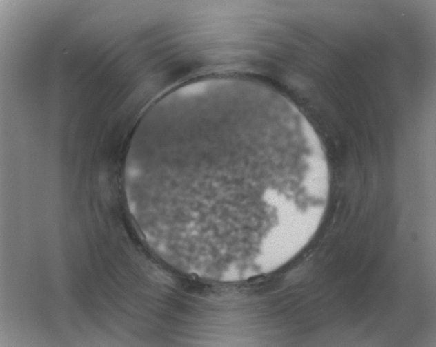 X0000053461361200508112146.png
