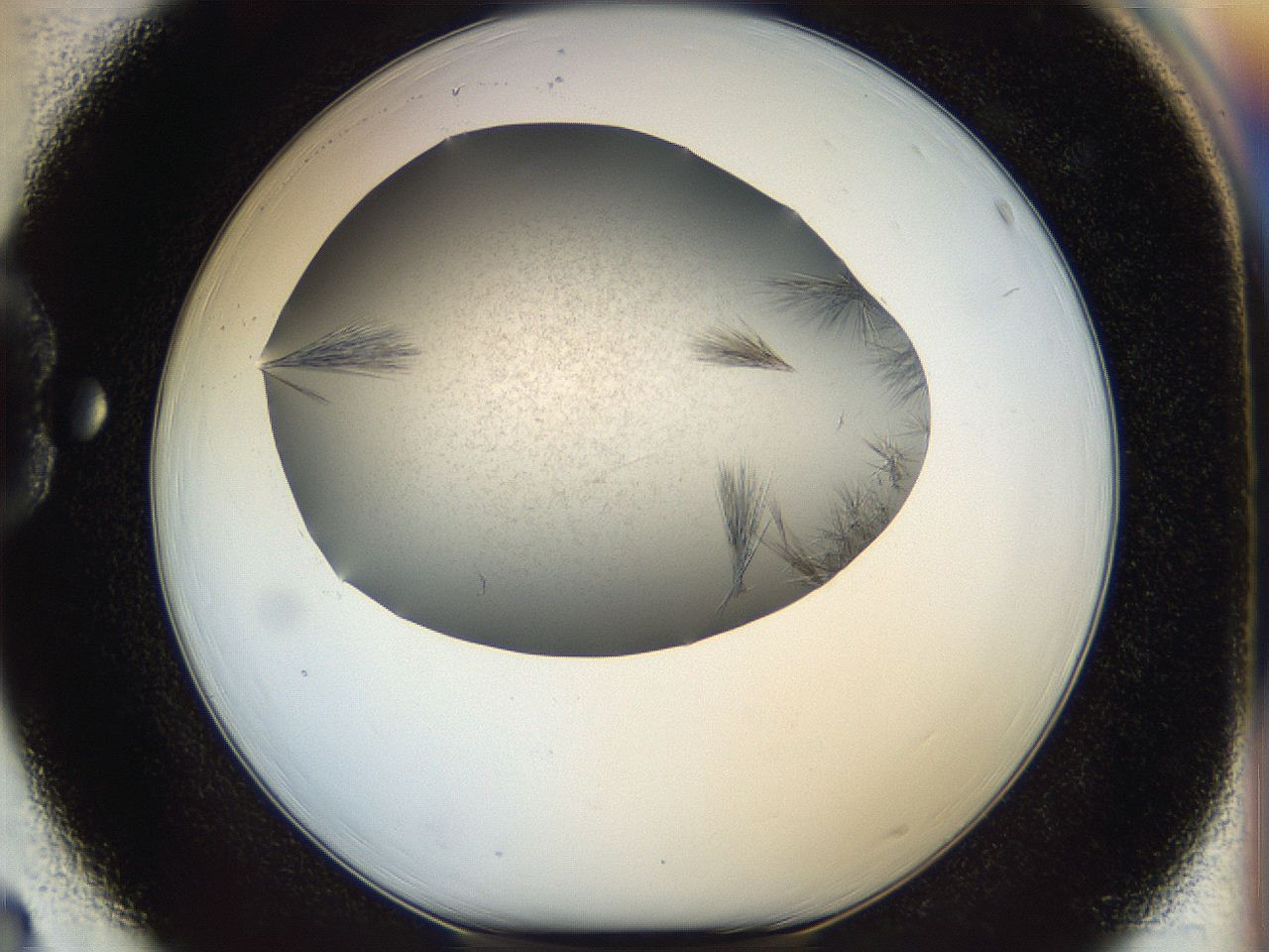 05ff_D3_ImagerDefaults_7.jpg