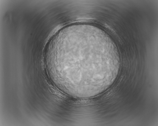 X0000055251362200509071604.png