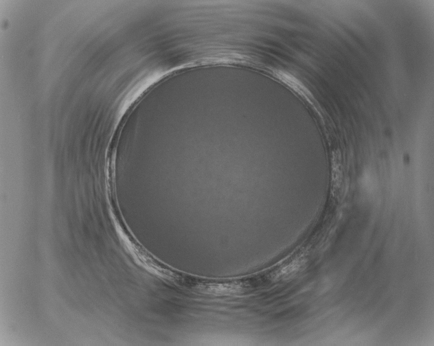 X0000054171047200508101754.png
