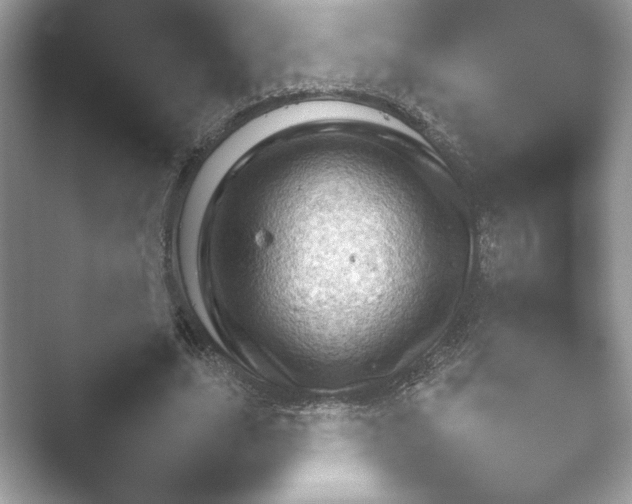X0000052450631200507211315.png