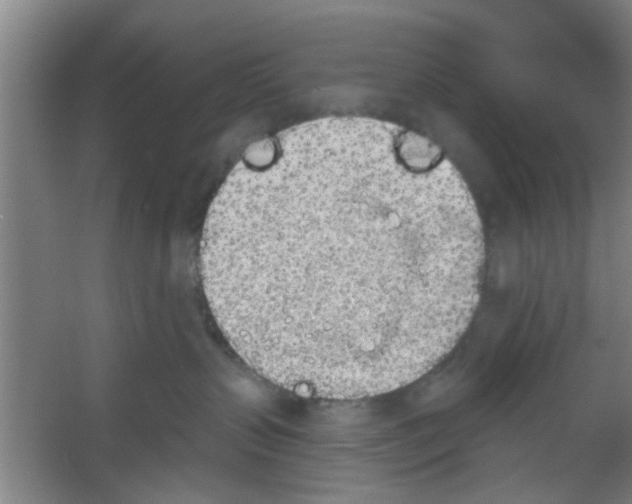 X0000053460383200508112204.png