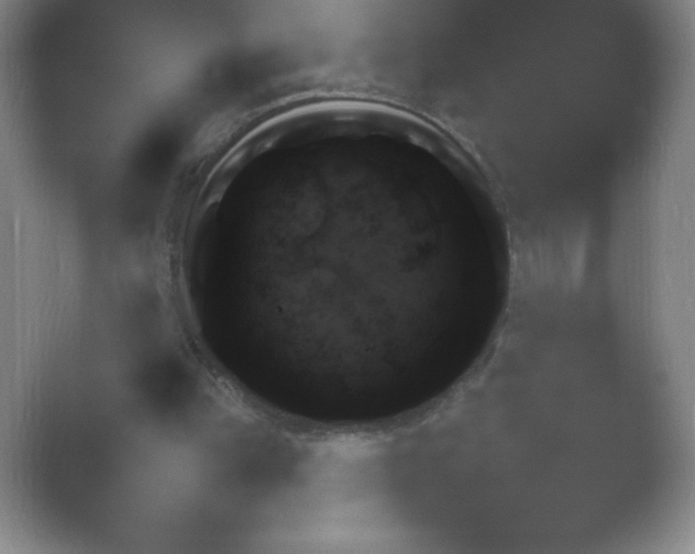 X0000054730149200508171901.png