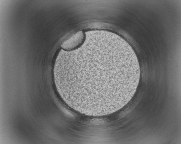 X0000053460445200508112201.png