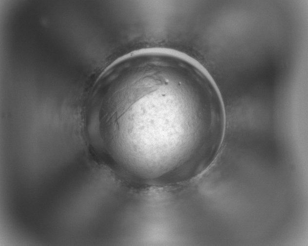 X0000052450187200507211324.png