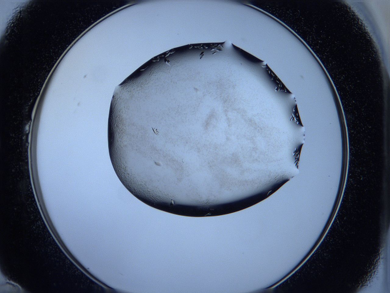 05fh_B10_ImagerDefaults_7.jpg