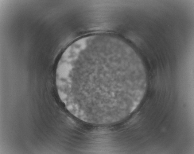 X0000053461357200508112146.png