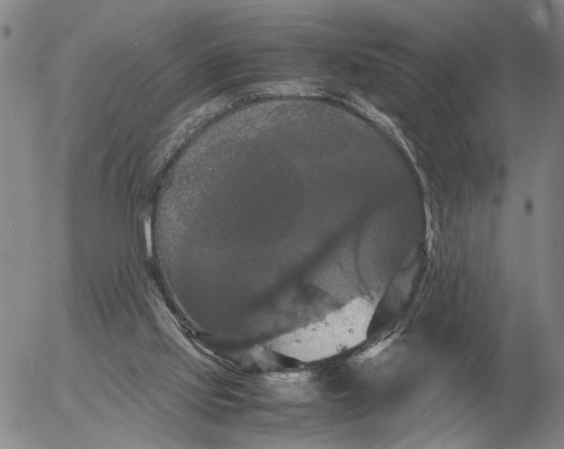X0000054170061200508101810.png