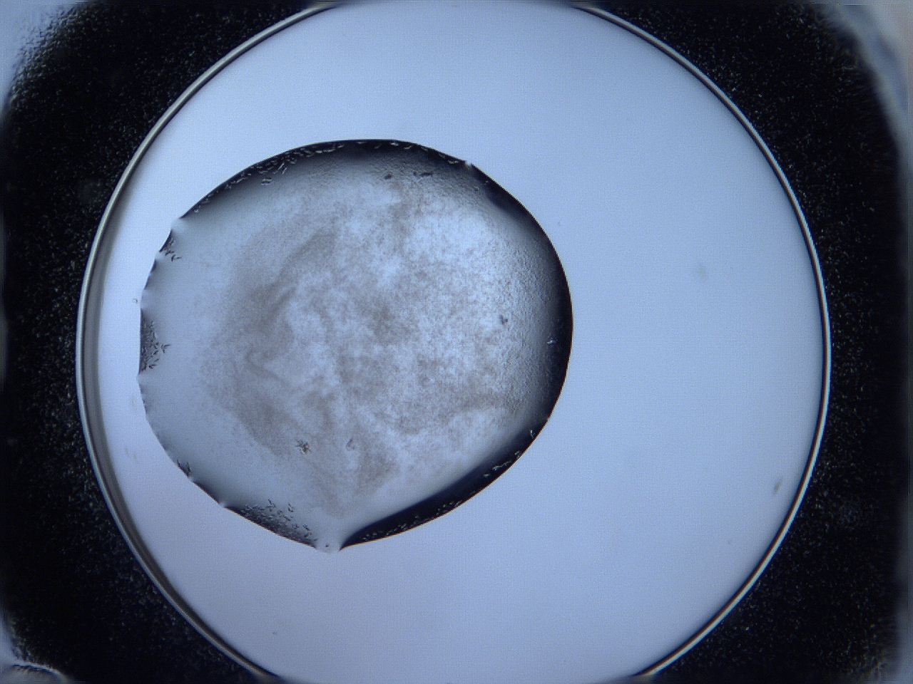 05fh_B12_ImagerDefaults_6.jpg