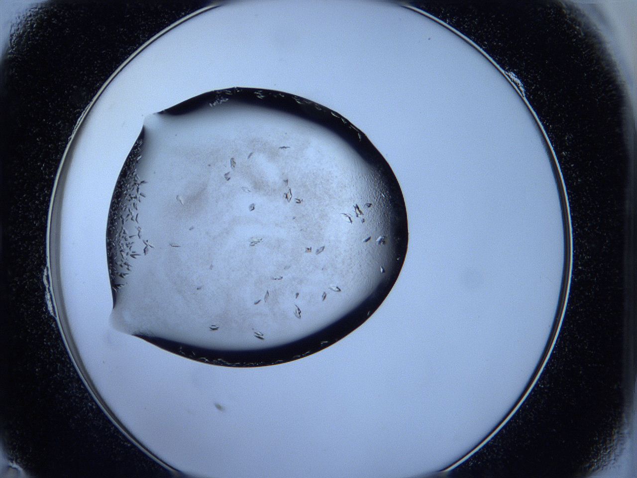 05fh_B11_ImagerDefaults_6.jpg