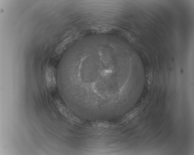 X0000054171058200508101754.png