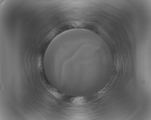 X0000054350132200508190138.png