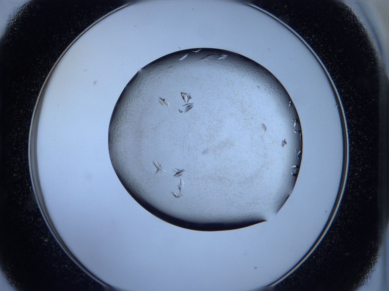 05fh_B9_ImagerDefaults_8.jpg