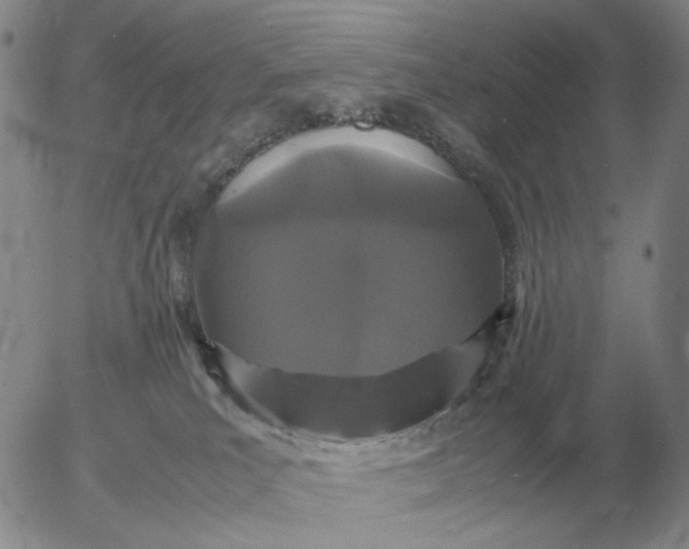 X0000054170039200508101811.png