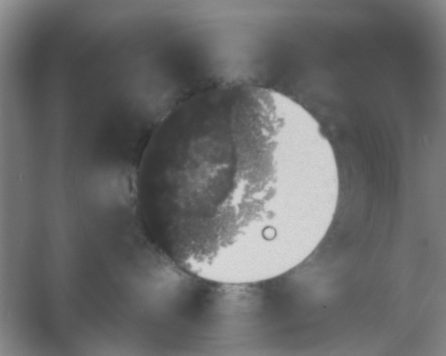 X0000053460528200508112200.png
