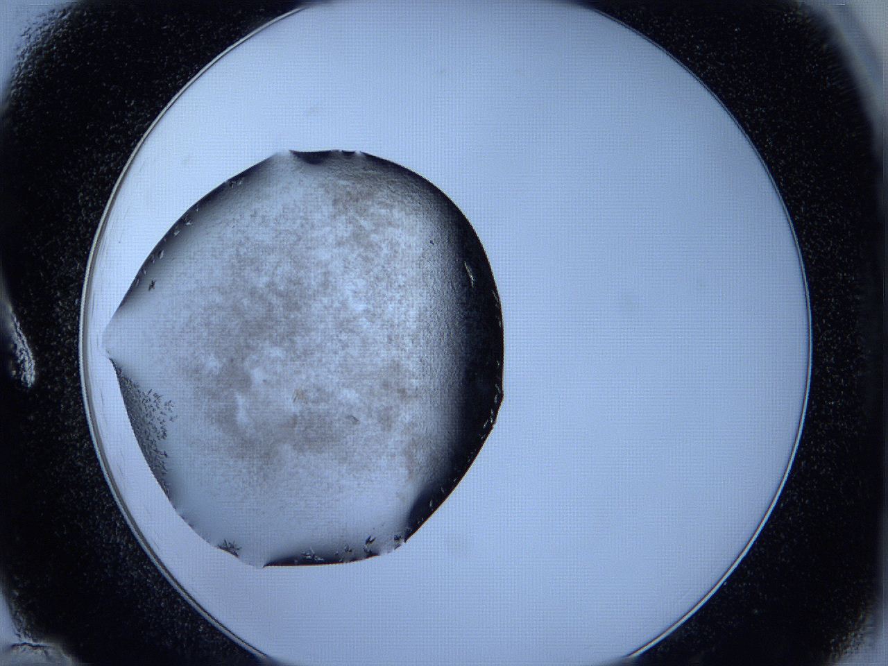 05fh_A12_ImagerDefaults_6.jpg