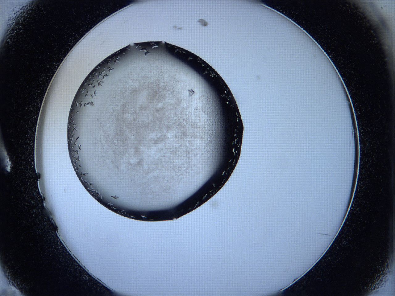 05fh_A11_ImagerDefaults_6.jpg