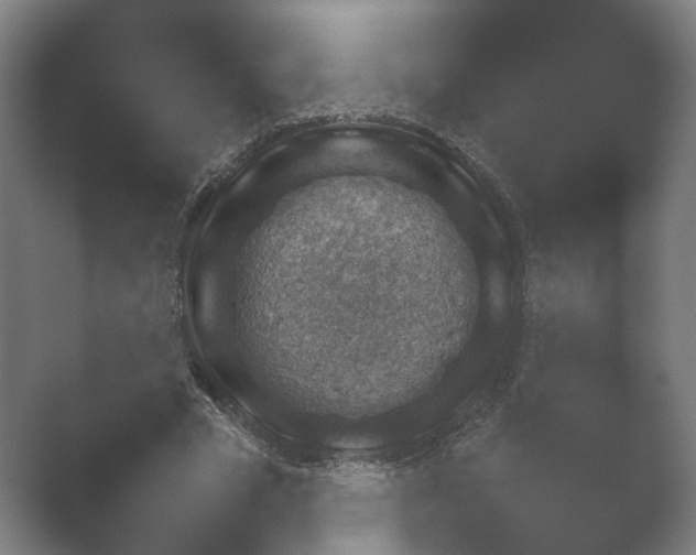 X0000052280585200507132031.png