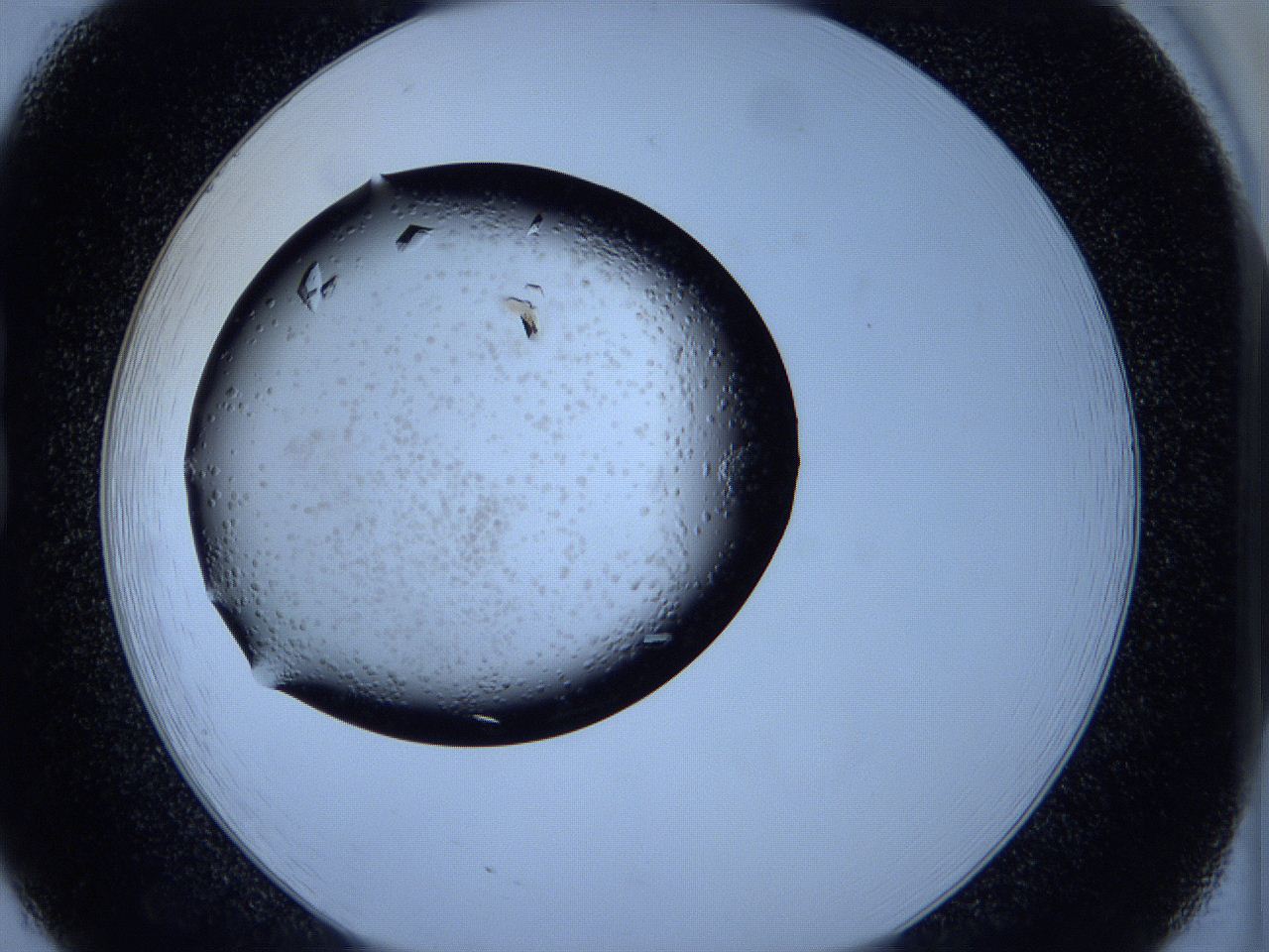 05fh_B8_ImagerDefaults_9.jpg