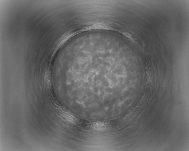 X0000055061266200508161636.png