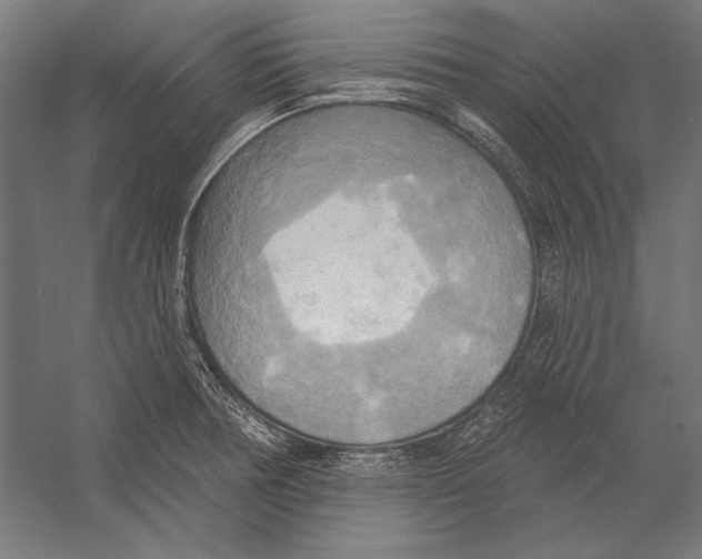 X0000055251378200509071604.png