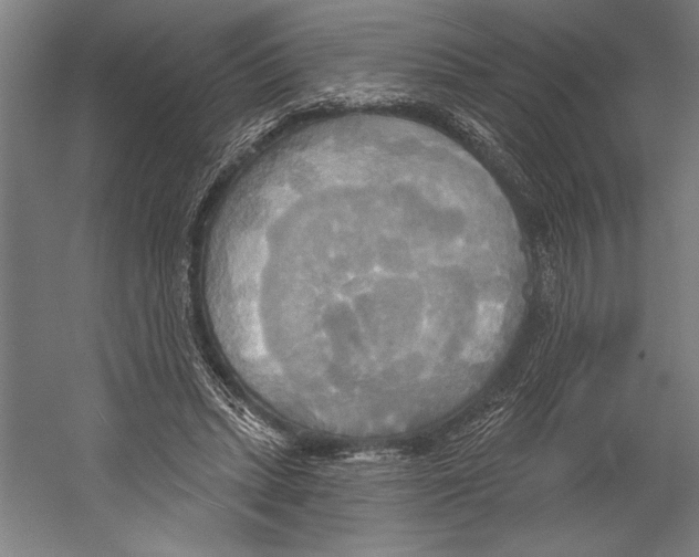 X0000055250447200509071620.png