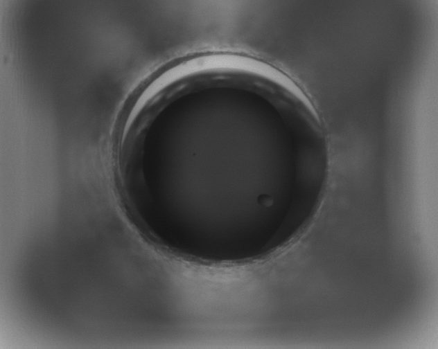 X0000054730008200508171904.png