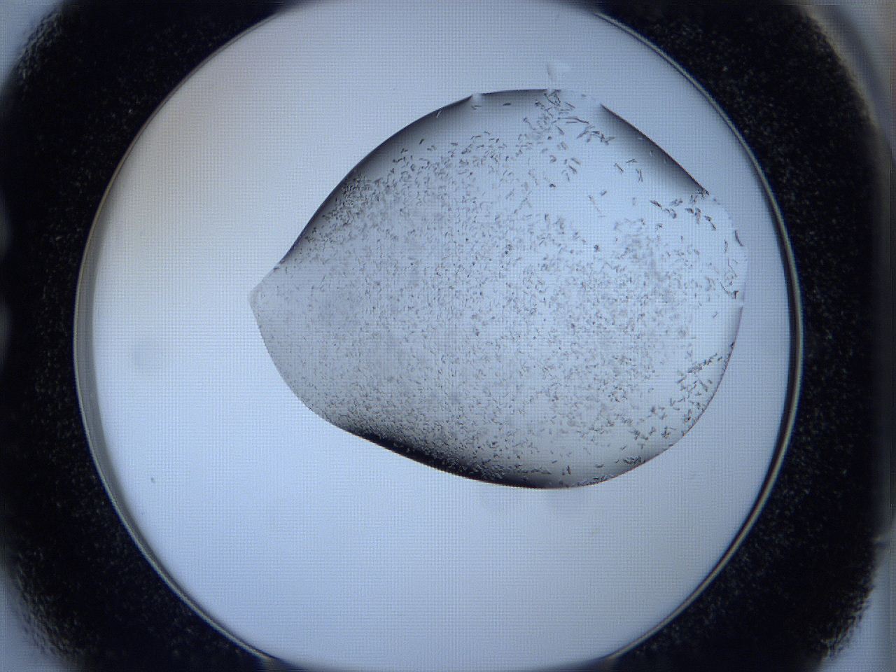 05fh_C3_ImagerDefaults_6.jpg