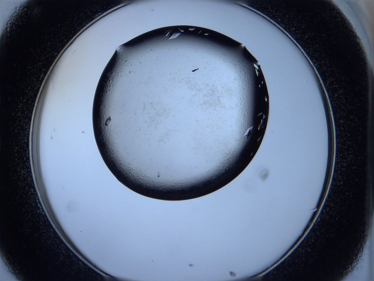 05fh_C8_ImagerDefaults_9.jpg
